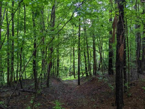 Lockhart Highway Union SC 29379