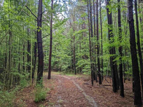 Lockhart Highway Union SC 29379