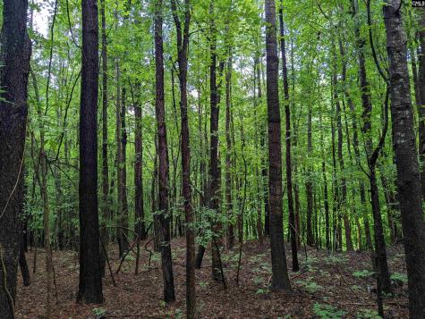 Lockhart Highway Union SC 29379