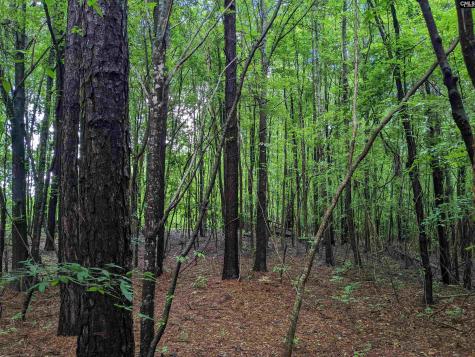 Lockhart Highway Union SC 29379