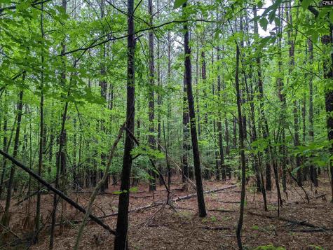 Lockhart Highway Union SC 29379