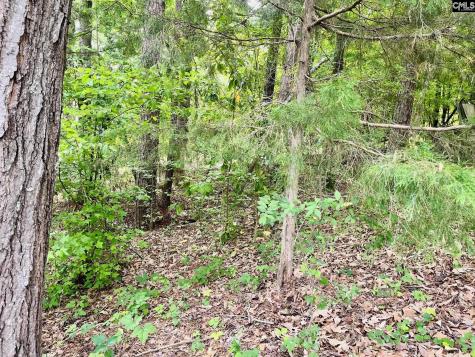 Tbd Aiken Street Leesville SC 29060