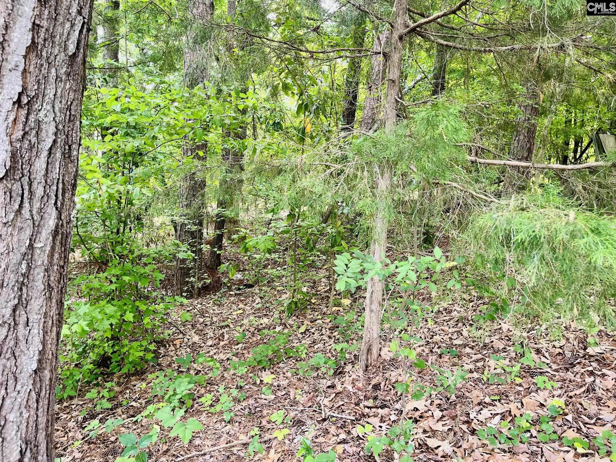 Tbd Aiken Street Leesville SC 29060