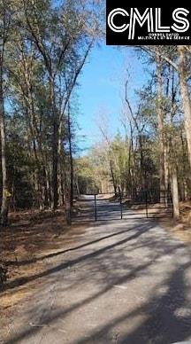 430 Millers Pond Salley SC 29137