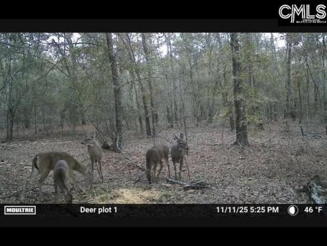 430 Millers Pond Salley SC 29137