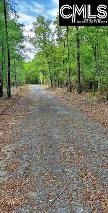 430 Millers Pond Salley SC 29137