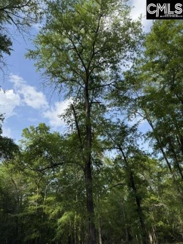 430 Millers Pond Salley SC 29137