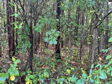 1906 Medfield Drive Camden SC 29020-0000