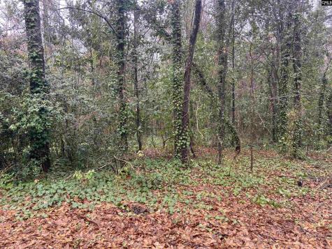 1951 Forest Drive 32 Camden SC 29020-0000