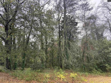 1951 Forest Drive 32 Camden SC 29020-0000