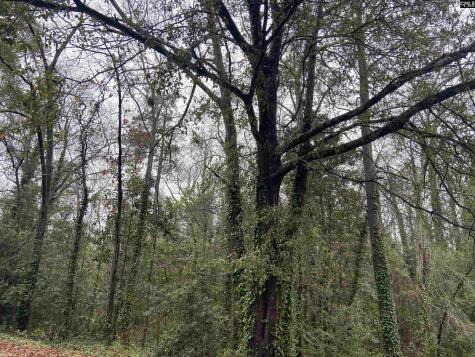 1951 Forest Drive 32 Camden SC 29020-0000