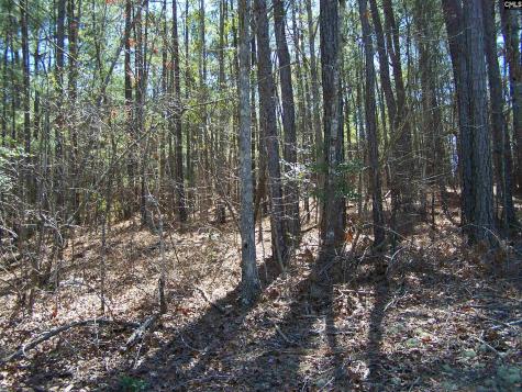 305 - 321 Dubard Boyle Road Columbia SC 29203