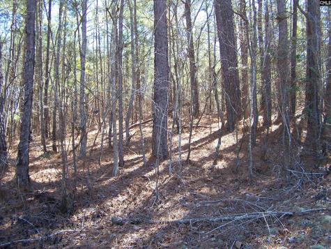 305 - 321 Dubard Boyle Road Columbia SC 29203