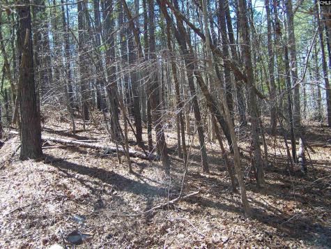 305 - 321 Dubard Boyle Road Columbia SC 29203