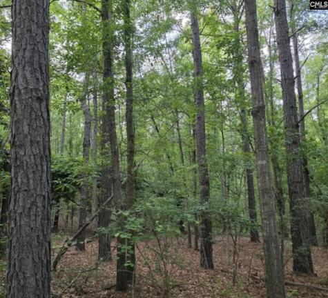 15 Acres Woodberry Lane North Augusta SC 29841