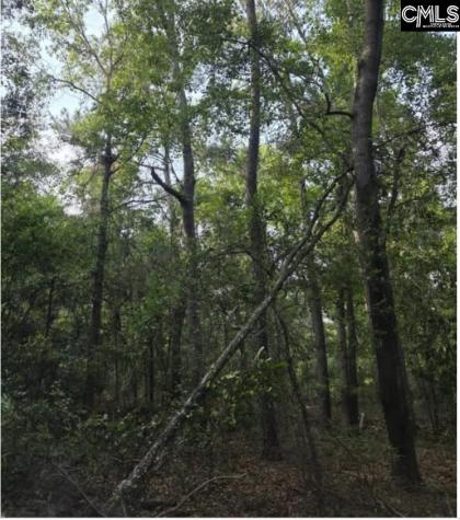 15 Acres Woodberry Lane North Augusta SC 29841