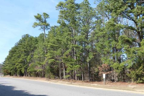 0 Woodcross Drive Columbia SC 29212-2036