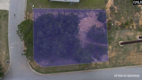 204 Cascade Court Lexington SC 29072