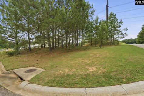 204 Cascade Court Lexington SC 29072