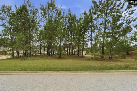 204 Cascade Court Lexington SC 29072