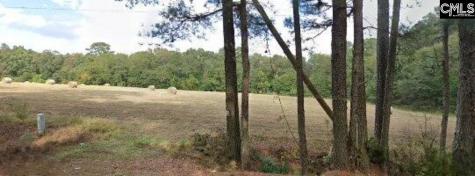 137 Drawdebil Road Gilbert SC 29054