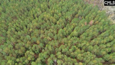 Old Cherokee Road Blair SC 29015