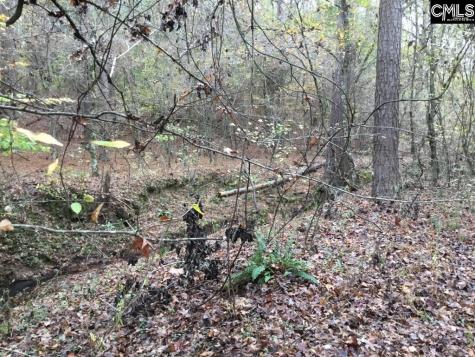 Old Cherokee Road Blair SC 29015
