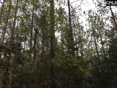 Old Cherokee Road Blair SC 29015