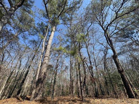 126 Folk Road Blythewood SC 29016