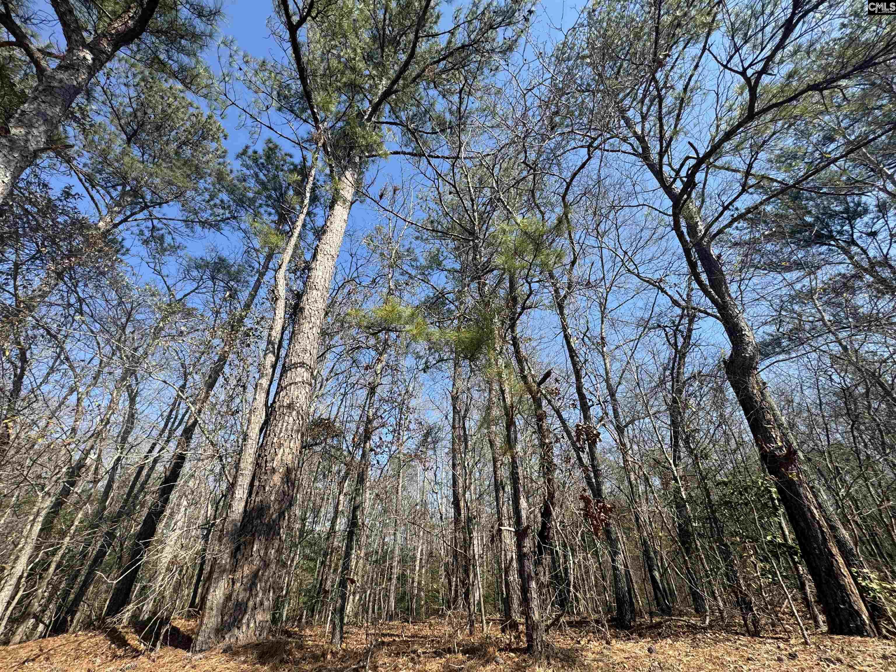126 Folk Road Blythewood SC 29016