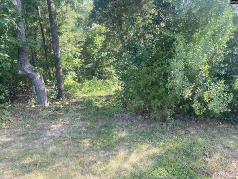 115 Beacon Point Road Irmo SC 29063
