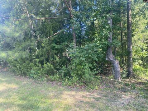 115 Beacon Point Road Irmo SC 29063