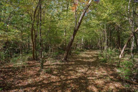 1335 Fulmer Road Blythewood SC 29016