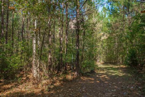 1335 Fulmer Road Blythewood SC 29016