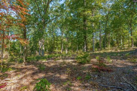 1335 Fulmer Road Blythewood SC 29016