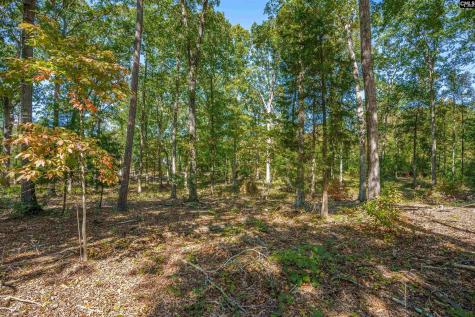 1335 Fulmer Road Blythewood SC 29016