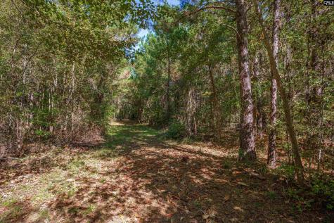 1335 Fulmer Road Blythewood SC 29016