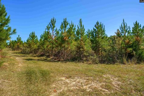 1335 Fulmer Road Blythewood SC 29016