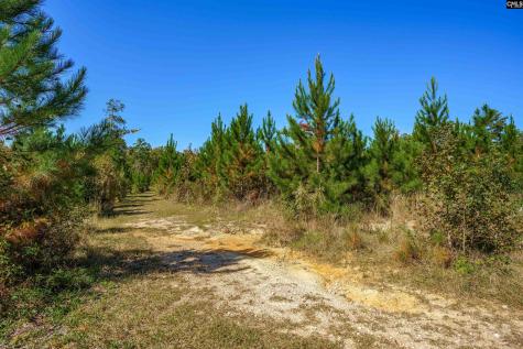 1335 Fulmer Road Blythewood SC 29016