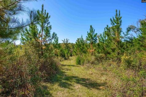 1335 Fulmer Road Blythewood SC 29016