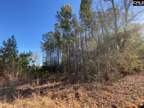 0 Stacey Bridge Road North SC 29118
