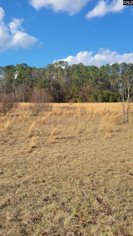 0 Old Sandy Run Road Gaston SC 29053