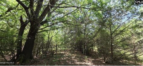 20 Acres Chestnut Ridge Road Mccormick SC 29835