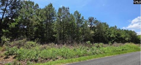20 Acres Chestnut Ridge Road Mccormick SC 29835