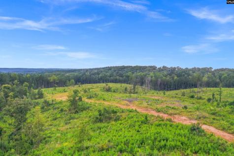 0000 Penner Road 7 Jenkinsville SC 29065