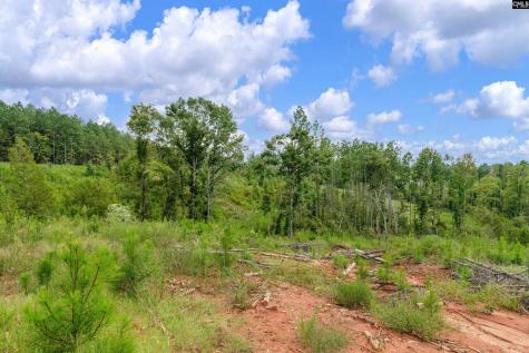 0000 Penner Road 7 Jenkinsville SC 29065