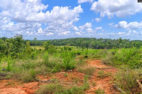 0000 Penner Road 7 Jenkinsville SC 29065