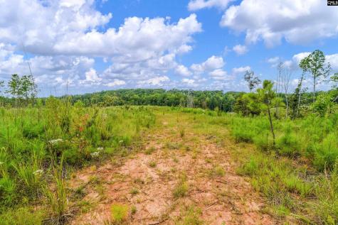 0000 Penner Road 7 Jenkinsville SC 29065