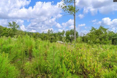 0000 Penner Road 7 Jenkinsville SC 29065