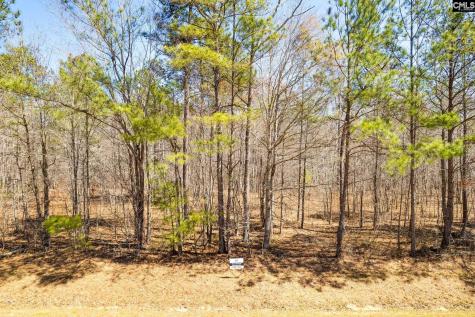 Tract B Grover Wilson Road Blythewood SC 29016